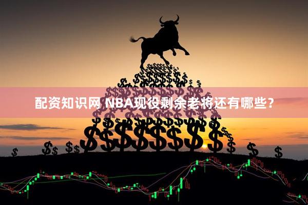配资知识网 NBA现役剩余老将还有哪些？