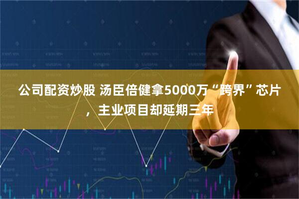 公司配资炒股 汤臣倍健拿5000万“跨界”芯片，主业项目却延期三年